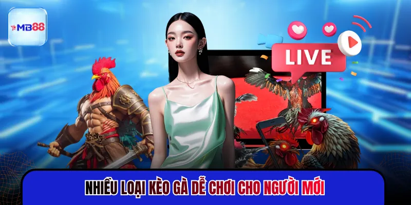 Nhiều loại kèo gà dễ chơi cho người mới